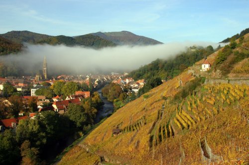 Domaine Zind Humbrecht